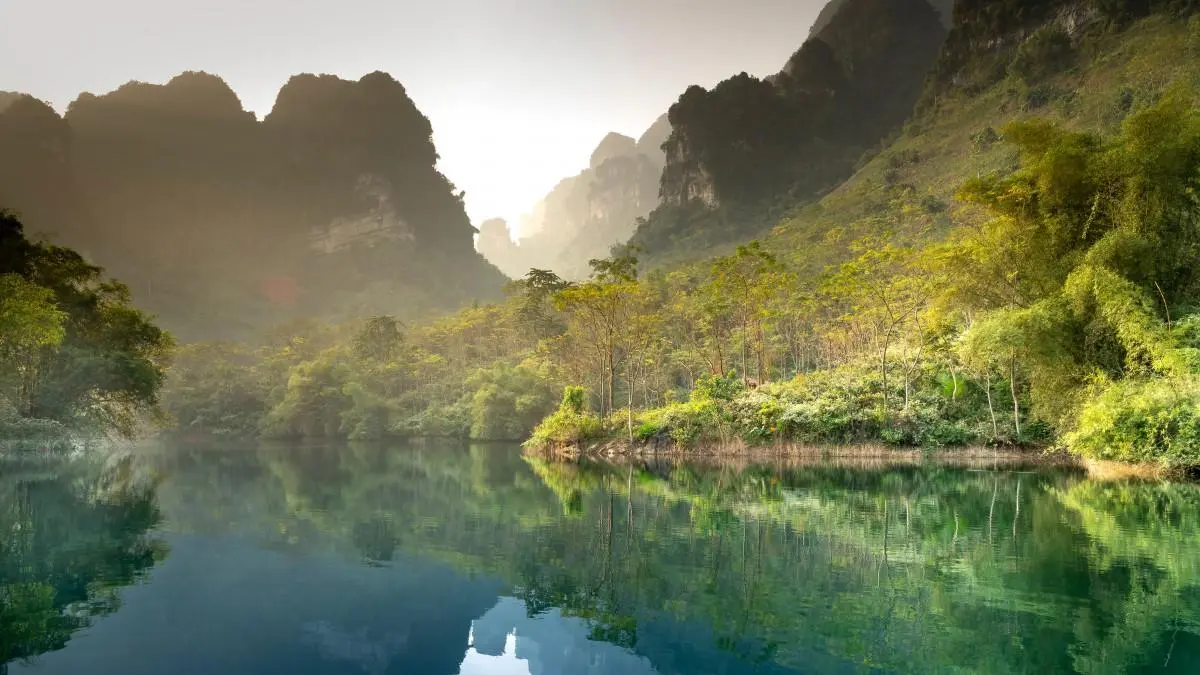节能高标准无人化